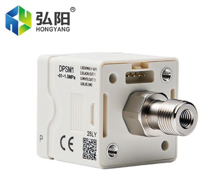 Digital-pressure-gauge